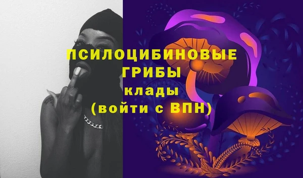 ECSTASY Верея