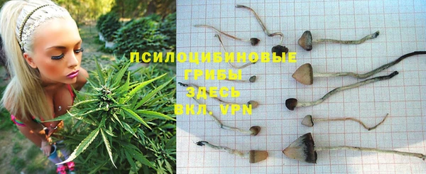 кристаллы Верхний Тагил