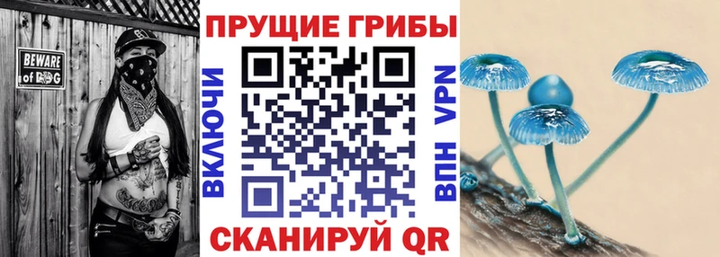 дарнет шоп  Братск  darknet Telegram  Галлюциногенные грибы прущие грибы 